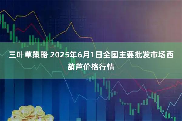 三叶草策略 2025年6月1日全国主要批发市场西葫芦价格行情