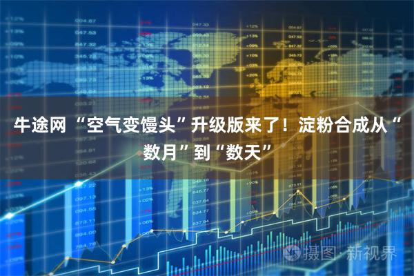 牛途网 “空气变馒头”升级版来了！淀粉合成从“数月”到“数天”