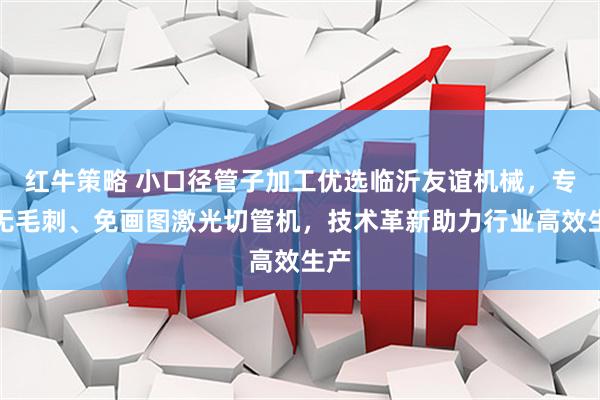 红牛策略 小口径管子加工优选临沂友谊机械，专注无毛刺、免画图激光切管机，技术革新助力行业高效生产