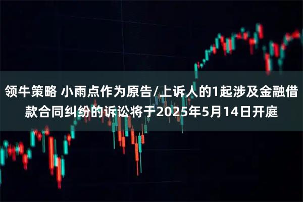 领牛策略 小雨点作为原告/上诉人的1起涉及金融借款合同纠纷的诉讼将于2025年5月14日开庭