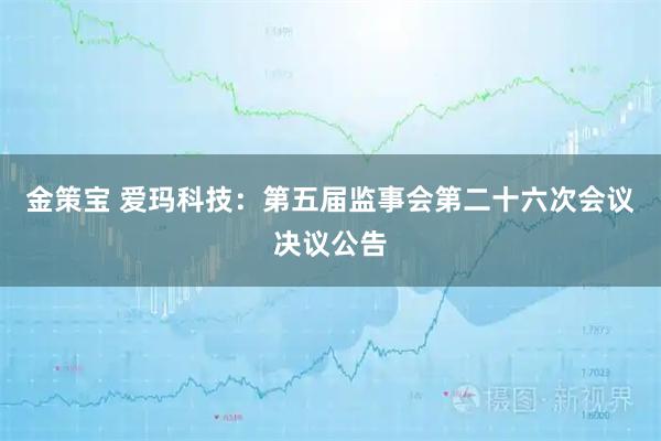 金策宝 爱玛科技：第五届监事会第二十六次会议决议公告