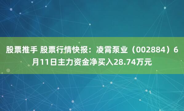 股票推手 股票行情快报：凌霄泵业（002884）6月11日主力资金净买入28.74万元