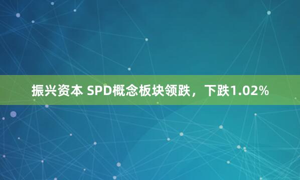 振兴资本 SPD概念板块领跌，下跌1.02%