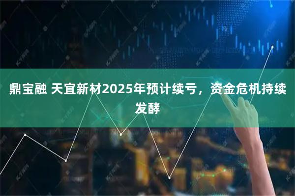 鼎宝融 天宜新材2025年预计续亏,资金危机持续发酵
