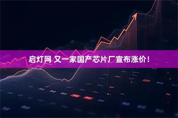 启灯网 又一家国产芯片厂宣布涨价！